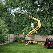 Best Pest Control for Lawns  in Elberta, AL