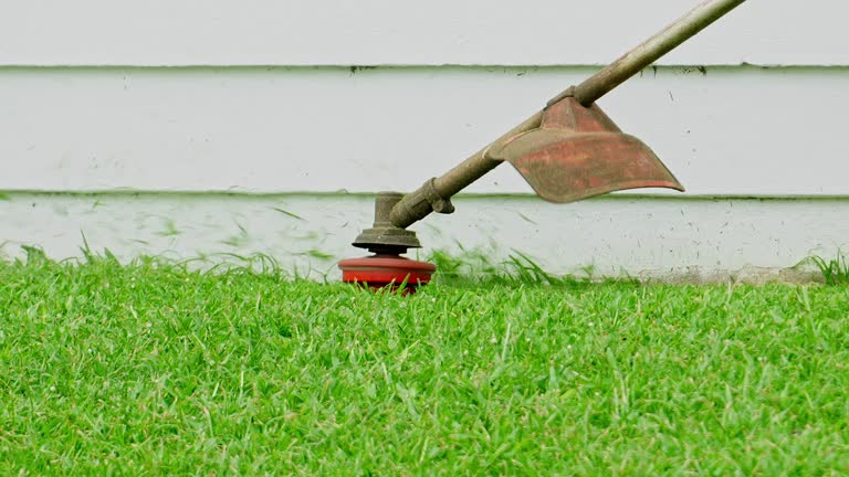 Best Tree Preservation Services  in Elberta, AL